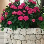 Mare شقة ماسلينتسا