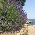 Apartman Mare *
