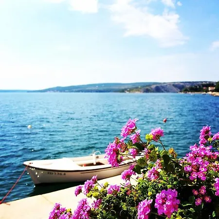 Mare