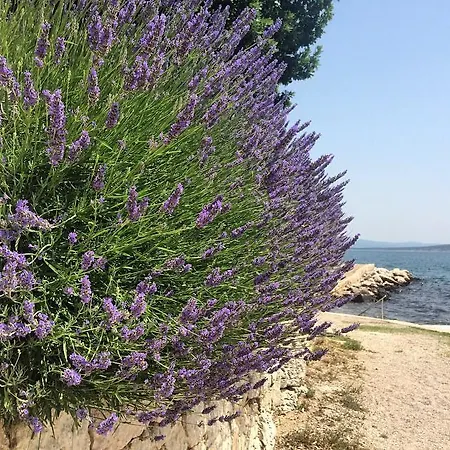 Appartamento Mare *