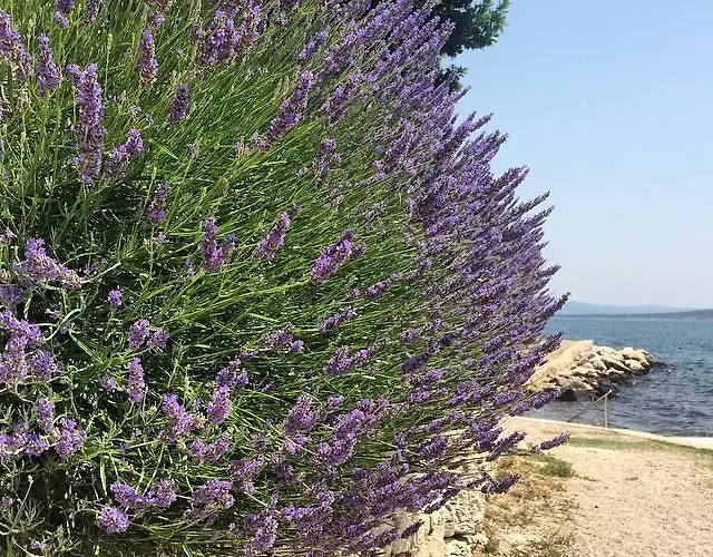 Διαμέρισμα Mare *